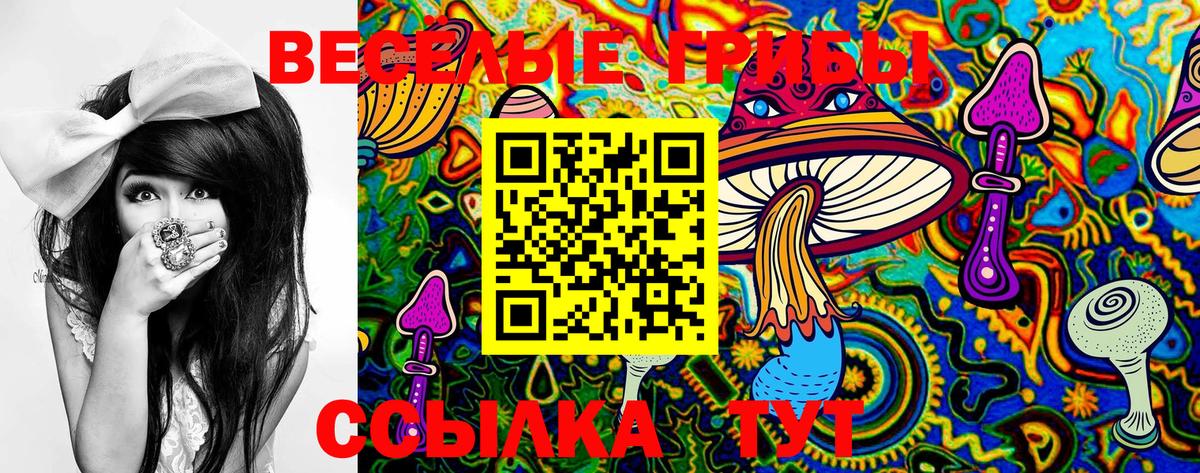 Псилоцибиновые грибы Psilocybine cubensis Усолье-Сибирское
